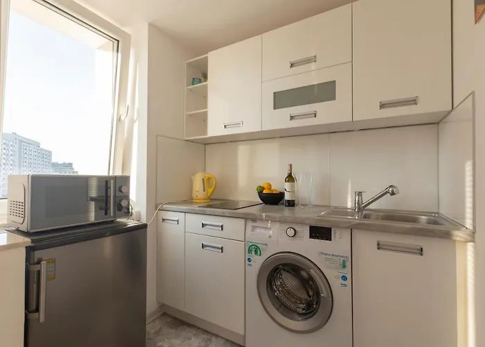 Ac And Fast Wifi Modern Big Emilii Plater 55 Apartment